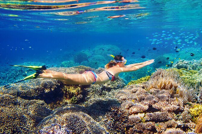 Koh Rok and Koh Haa Speedboat Tour Experience - Who Is This Tour Perfect For?