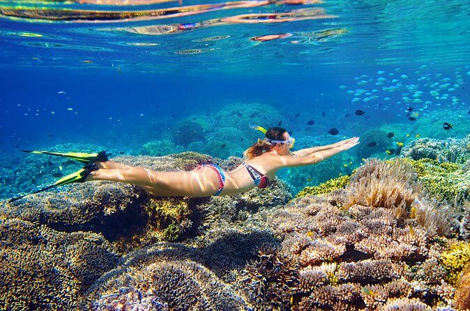 Koh Rok and Koh Haa Speedboat Tour Experience - Frequently Asked Questions (FAQs)