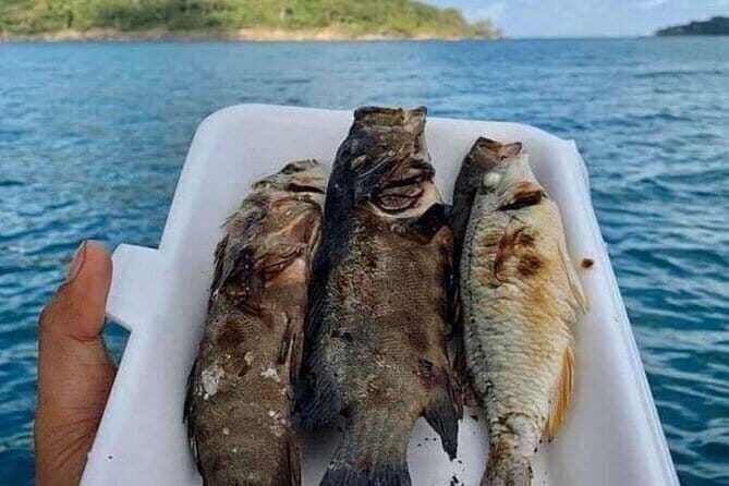 Koh Rong Fishing & Snorkeling tour (Private) - Authentic Experiences and Traveler Insights