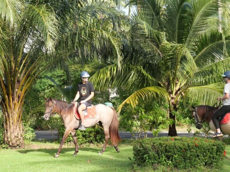 Koh Samui: 1-Hour Horseback Riding on Taling Ngams Shores - What to Expect from the Tour