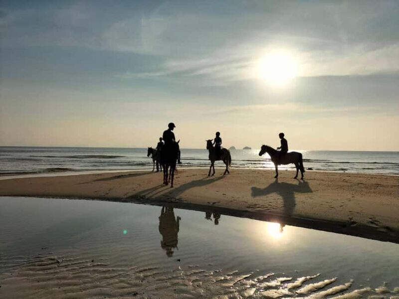 Koh Samui: 1-Hour Horseback Riding on Taling Ngams Shores - Good To Know  