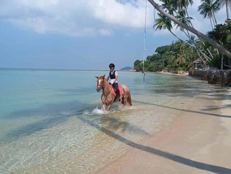 Koh Samui: 1-Hour Horseback Riding on Taling Ngams Shores - What’s Included and What to Bring