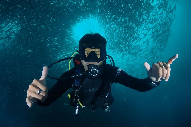 Koh Samui 2-Dive Trip to Sail Rock for Certified Divers - Pickup and Transfer Details