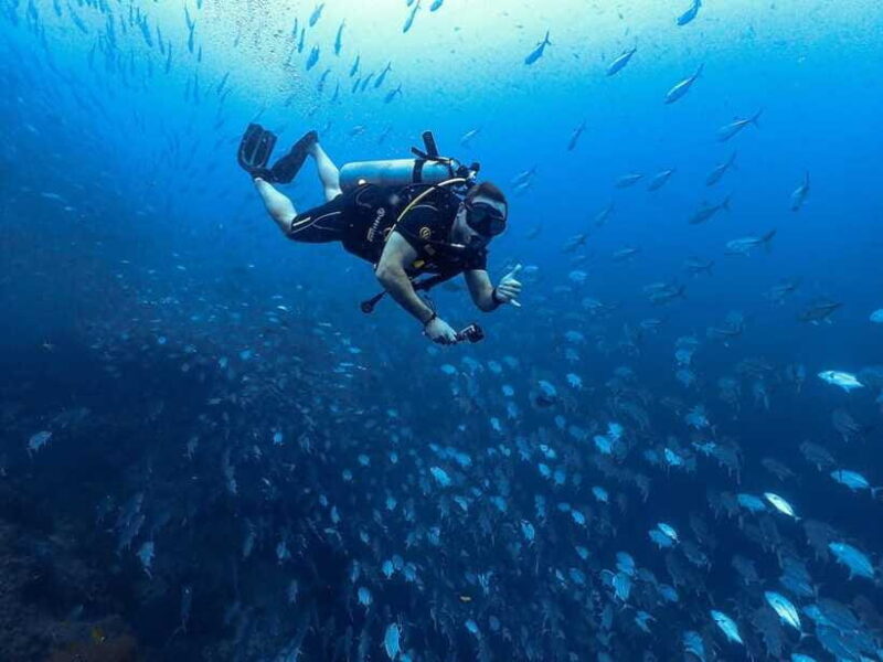 Koh Samui: 3-Day PADI Open Water Diver Course - Authentic Insights from Reviewers