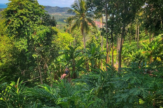 Koh Samui 4WD Jeep Safari Small Group Tour With Lunch - Expectations and Accessibility