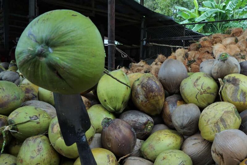 Koh Samui: 4x4 Off-Road Island Safari Tour & Lunch - Authentic Traveler Insights From Reviews