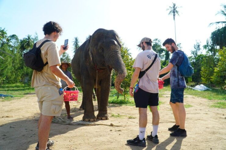 Koh Samui: 4x4 Sightseeing Safari & Elephant Sanctuary Tour - Tour Details
