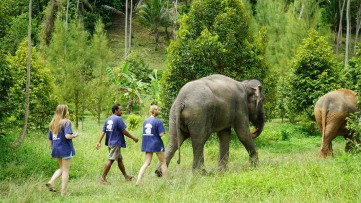 Koh Samui: 4x4 Sightseeing Safari & Elephant Sanctuary Tour - Sightseeing Highlights