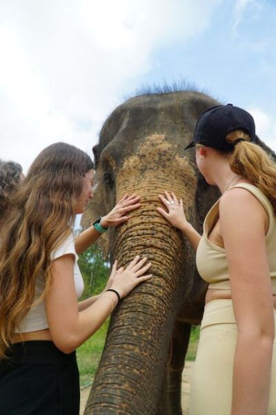 Koh Samui: 4x4 Sightseeing Safari & Elephant Sanctuary Tour - Namuang Waterfall 1 Experience