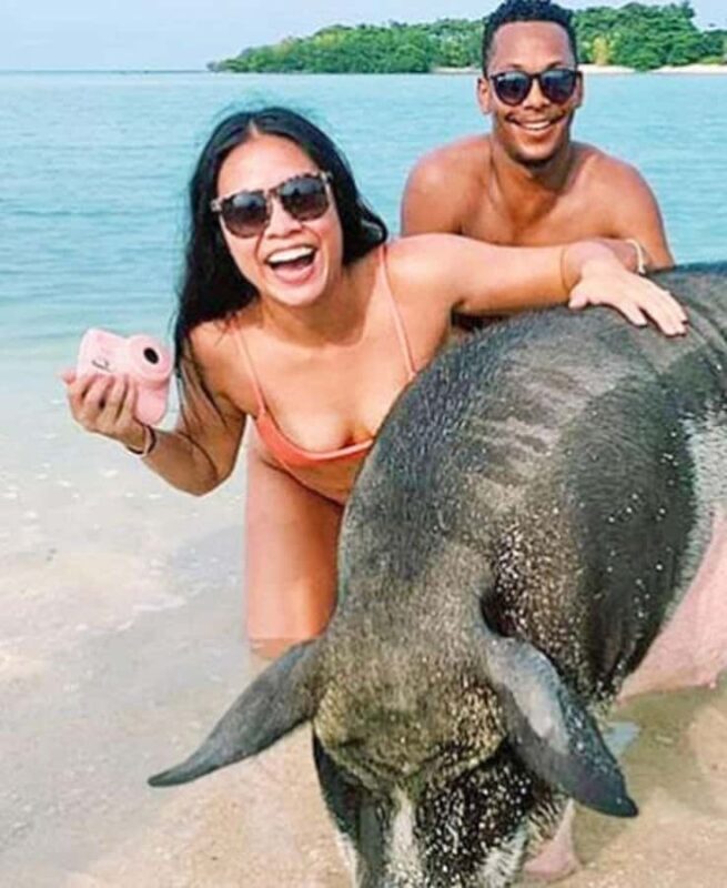 Koh Samui: Amazing Pig Island Tour - Cruise Ship Tours - Koh Samui: Amazing Pig Island Tour - Cruise Ship Tours