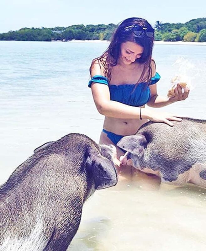 Koh Samui: Amazing Pig Island Tour - Cruise Ship Tours - The Sum Up: Who Is This Tour Best For?