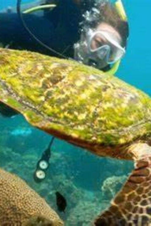KOH SAMUI : Ang Thong Marine Park Adventure With Kayaking - Tips for Travelers