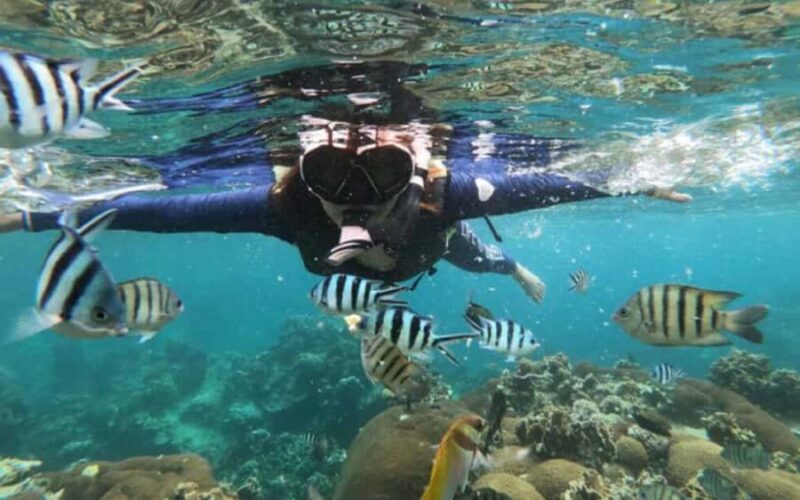 Koh Samui: Ang Thong Marine Park Day Tour by Speedboat - Good To Know