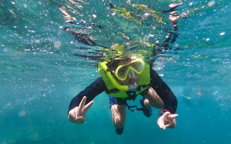 Koh Samui: Ang Thong Marine Park Day Tour by Speedboat - Practical Details and Value