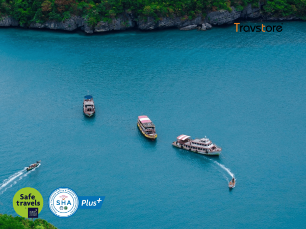 Koh Samui Angthong National Marine Park Tour by Speed Boat - Customer Reviews and Ratings