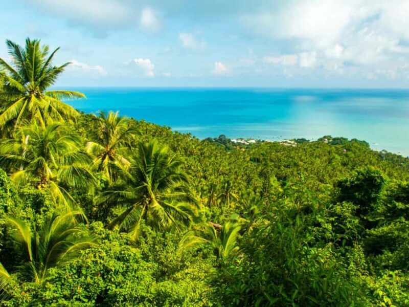 Koh Samui: ATV Jungle Adventure - Waterfalls & Views - Good To Know