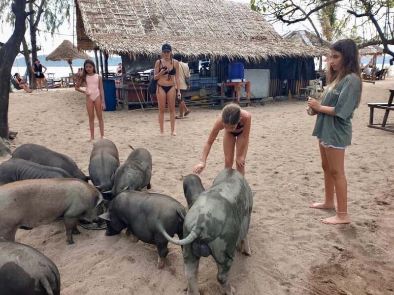 Koh Samui: Authentic Local Luxury Long-Tail Boat Cruise - The Value of This Experience