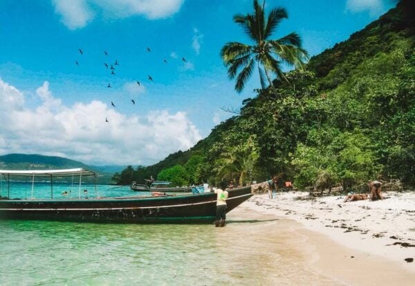 Koh Samui: Coral & Pig Island Longtail Boat Small-Group Tour - Luxury Long-tail Boat Option