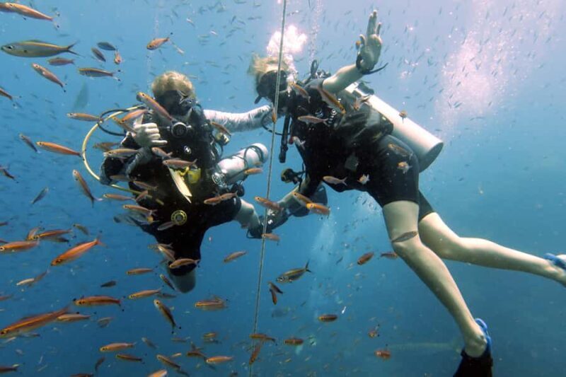 Koh Samui: Discover Scuba Diving - Good To Know