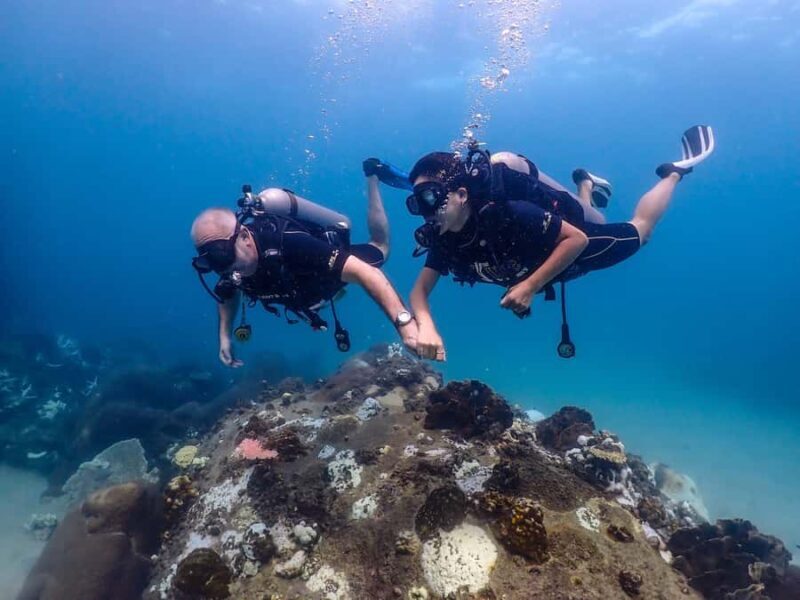 Koh Samui: Discovery Dive to Koh Tao or Sail Rock - Good To Know