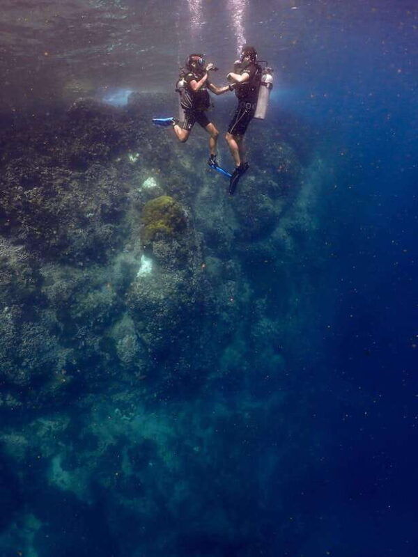 Koh Samui: Discovery Dive to Koh Tao or Sail Rock - Pricing and Booking Information