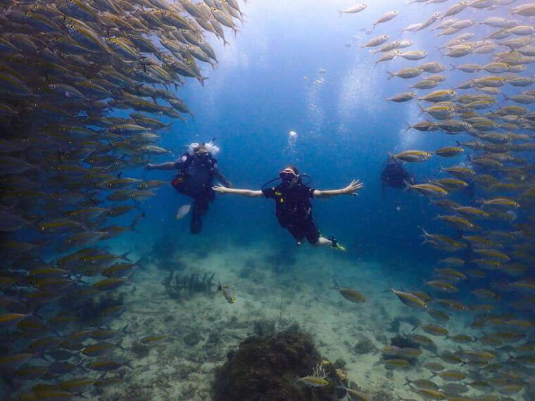 Koh Samui: Discovery Dive to Koh Tao or Sail Rock - Itinerary Details