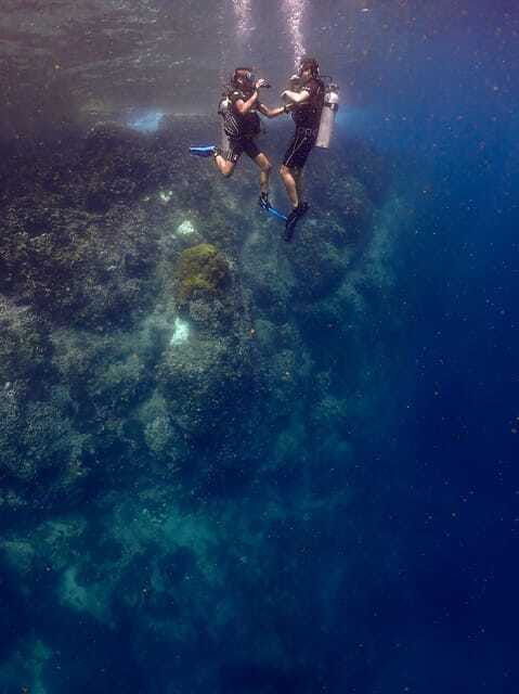 Koh Samui: Discovery Dive to Koh Tao or Sail Rock - Customer Testimonials