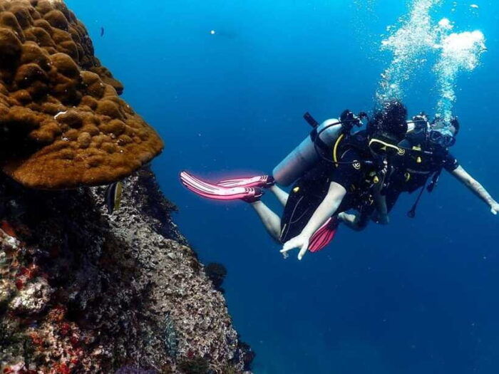 Koh Samui: Dive Tour Chumphon Pinnacles - Frequently Asked Questions