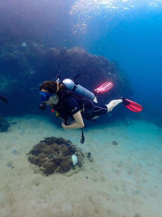 Koh Samui: Dive Tour to Koh Tao - Dive Experience