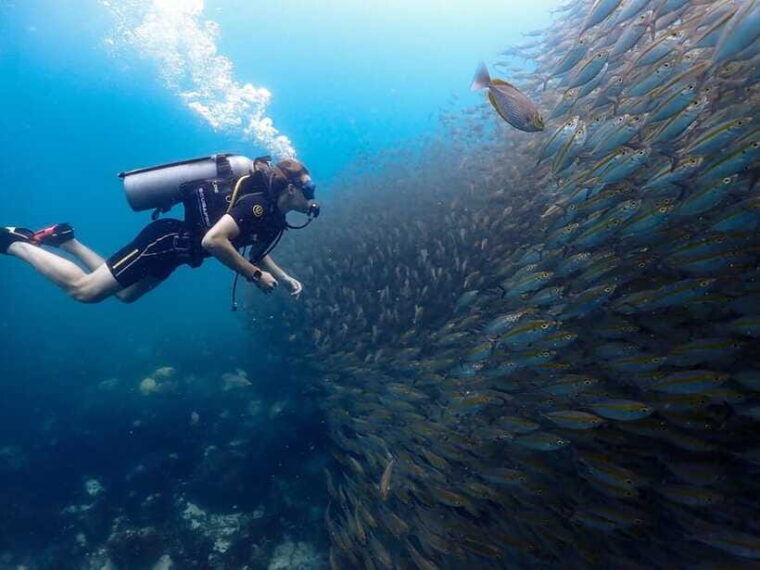 Koh Samui: Dive Tour to Koh Tao - What to Bring