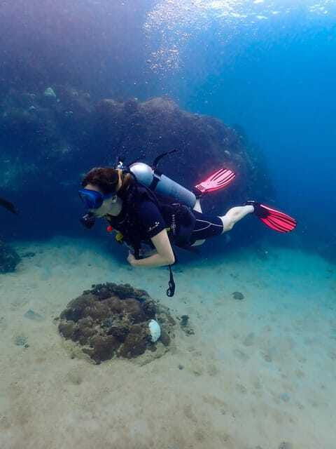Koh Samui: Dive Tour to Koh Tao - Frequently Asked Questions