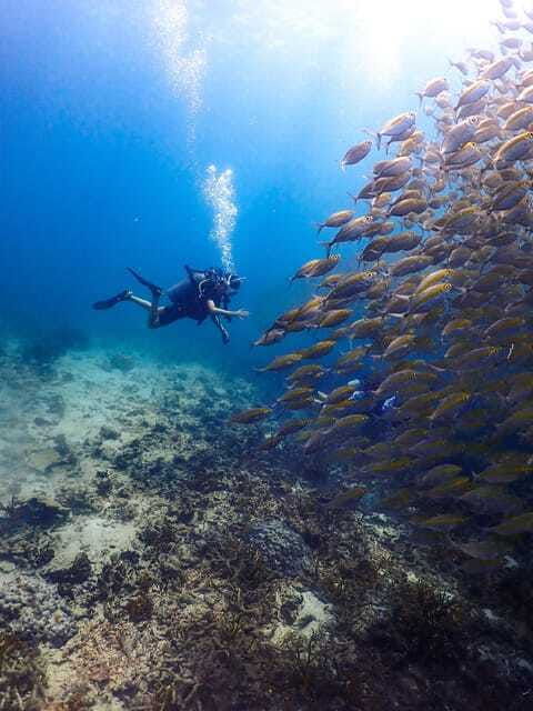 Koh Samui: Dive Tour to Sail Rock - Getting to Koh Samui