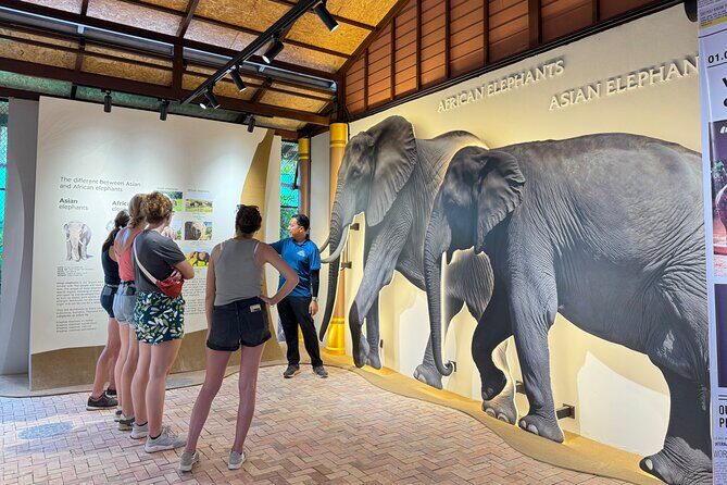 Koh Samui Elephant Home Sanctuary and the first Elephant Museum - Frequently Asked Questions