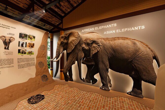 Koh Samui Elephant Home Sanctuary and the first Elephant Museum - Final Thoughts
