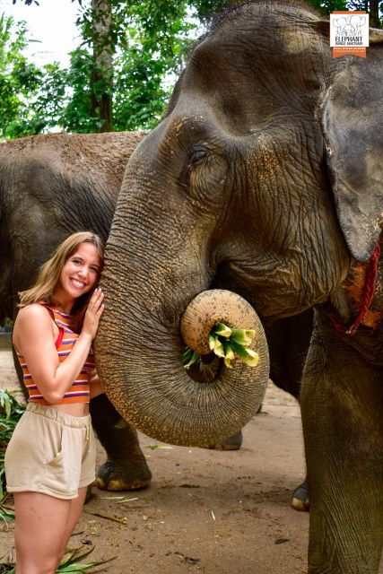 Koh Samui: Elephant Jungle Sanctuary Half-Day Tour - Booking Details