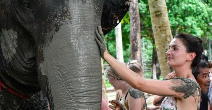 Koh Samui: Elephant Jungle Sanctuary Half-Day Tour - Experience Highlights