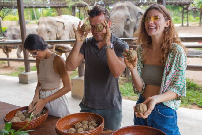 Koh Samui: Elephant Kingdom Sanctuary Half-Day Tour - Reviews of the Activity