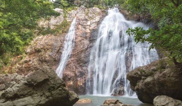 Koh Samui: Elephant Sanctuary and Jungle Tour With Lunch - Common Questions