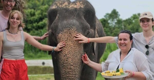 Koh Samui: Elephant Sanctuary and Jungle Tour With Lunch - The Sum Up