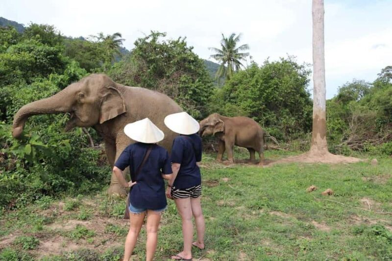 Koh Samui: Elephant Sanctuary and more - Full Day - Authentic Experiences and Reviewer Insights