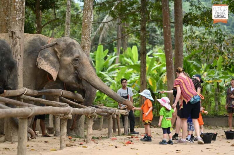 Koh Samui: Elephant Sanctuary Entry and Feeding Experience - Authentic and Responsible Travel