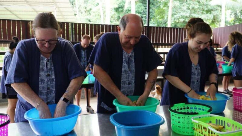 Koh Samui: Elephant Sanctuary Visit with Mud Spa & Lunch - An In-Depth Look at the Tour Experience