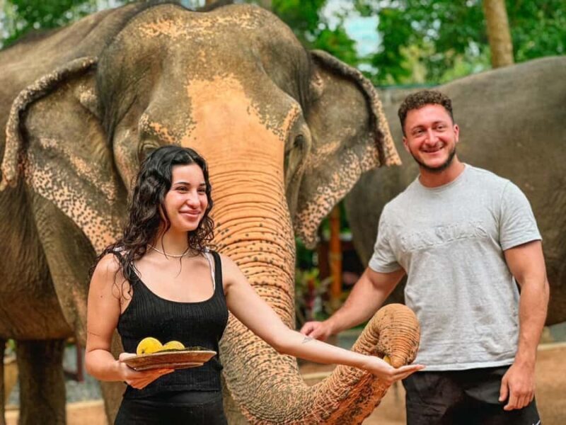 Koh Samui: Ethical Elephant Home Guided Tour with Transfers - Who Would Love This Tour?