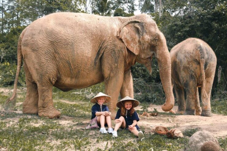Koh Samui: Ethical Elephant Home Guided Tour With Transfers - Activity Details