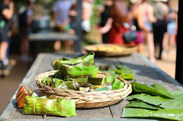 Koh Samui: Ethical Elephant Observation Half-Day Tour - Questions You May Have