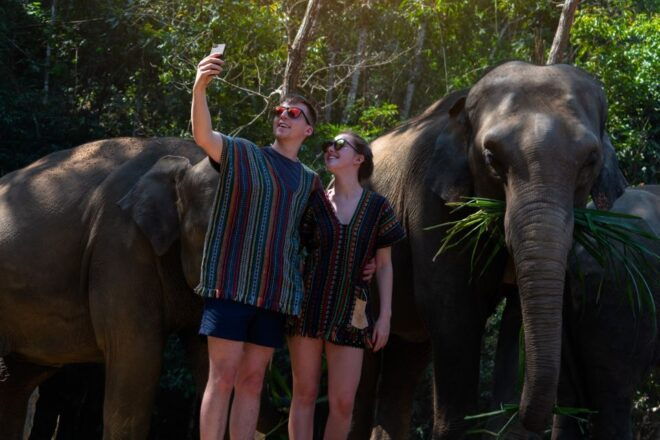 Koh Samui: Ethical Elephant Sanctuary Interactive Tour - Itinerary and Logistics of the Tour