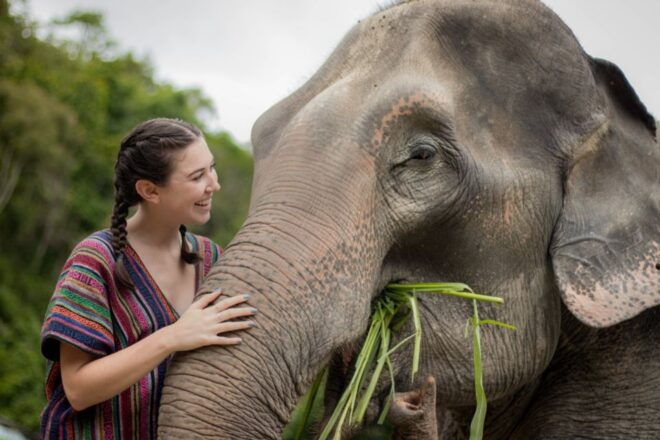 Koh Samui: Ethical Elephant Sanctuary Interactive Tour - Highlights and Activities With the Elephants