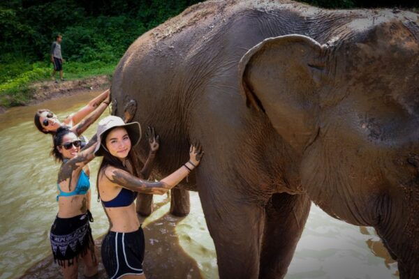 Koh Samui: Ethical Elephant Sanctuary Interactive Tour - Customer Reviews and Feedback