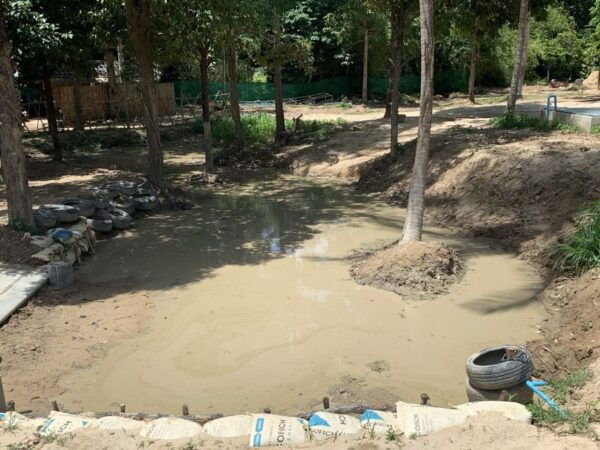 Koh Samui: Ethical Elephant Sanctuary Interactive Tour - The Sum Up
