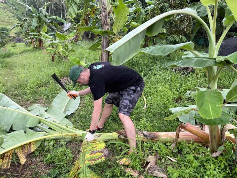 Koh Samui: Ethical Elephant Sanctuary Tour with Buffet Lunch - Good To Know